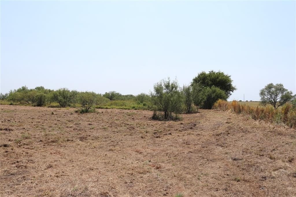 15.34 acres in Clay County gallery image 4