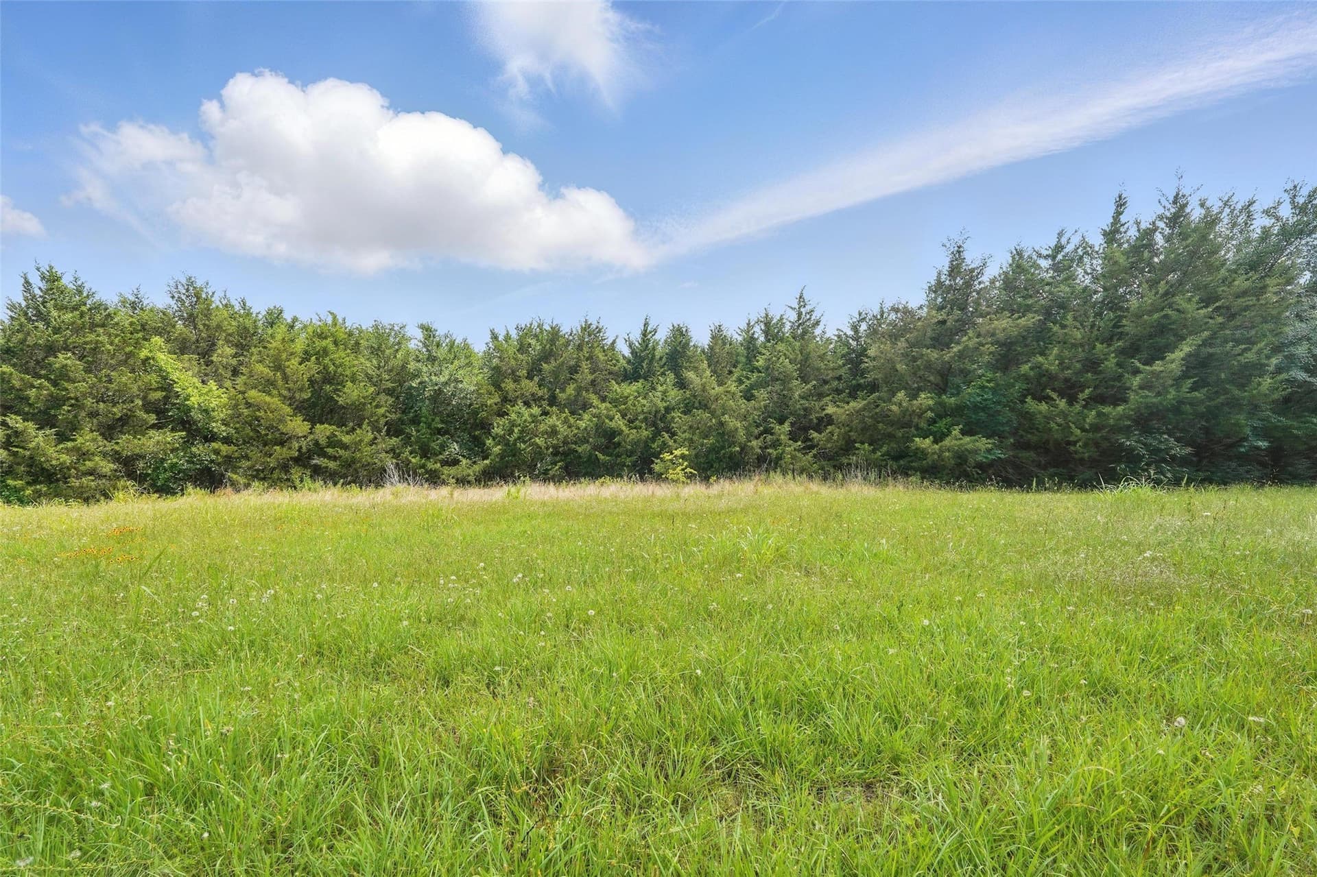 0.16 acres in Hunt County - photo 5