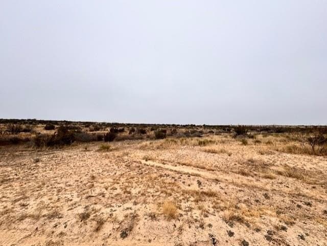 3.78 acres in Howard County gallery image 3