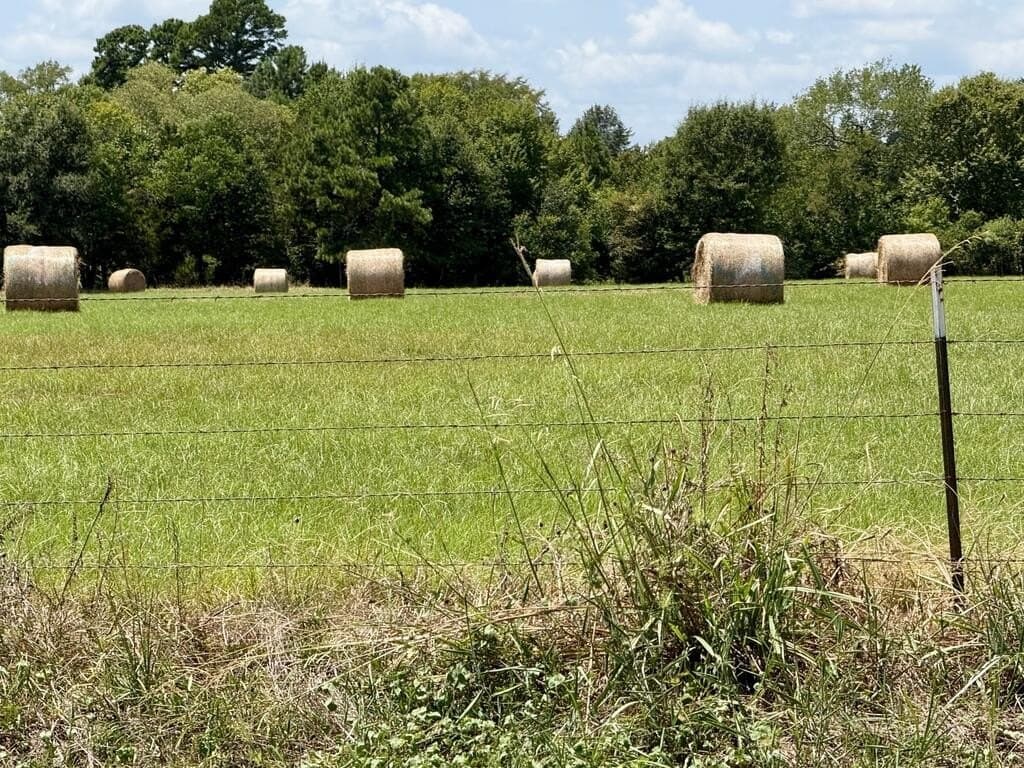 23.83 acres in Texas County - photo 9
