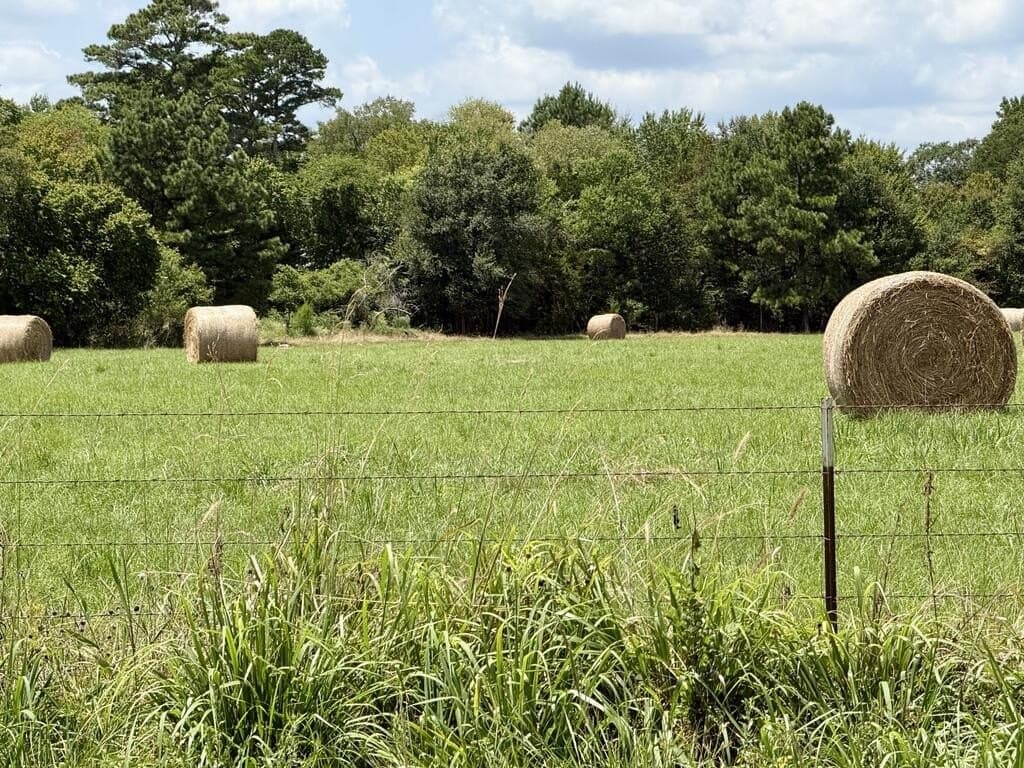 23.83 acres in Texas County - photo 10