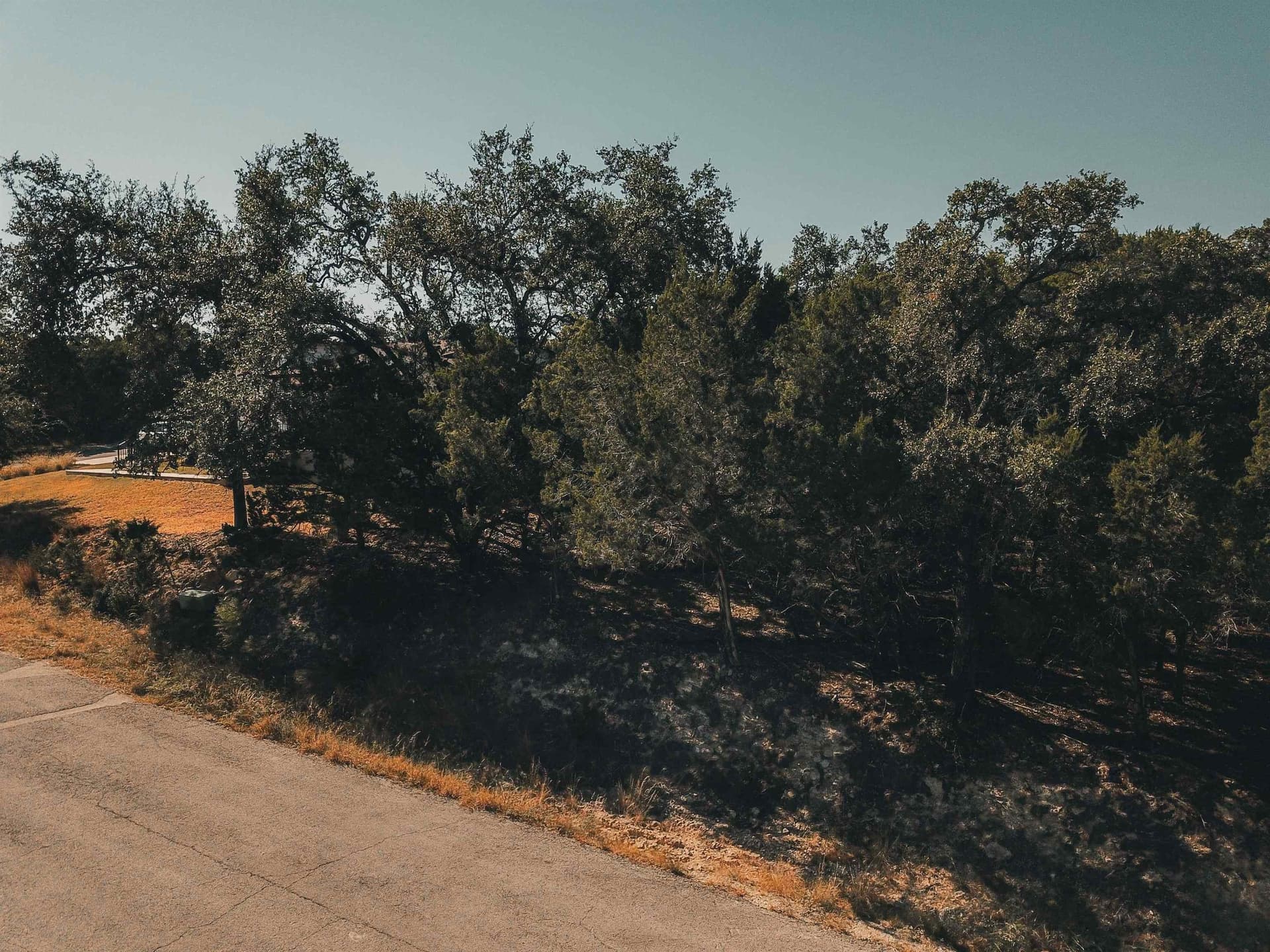 0.19 acres in Travis County gallery image 3