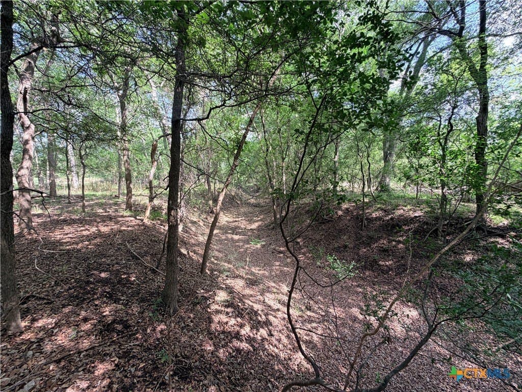 12.63 acres in Caldwell County - photo 22