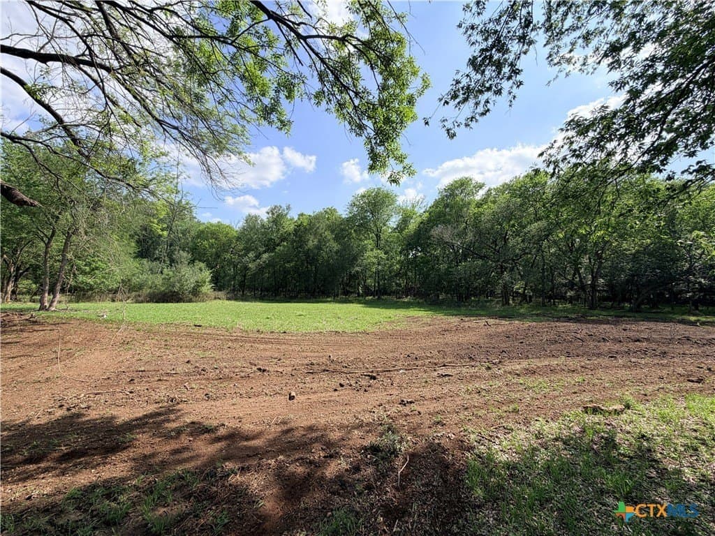 12.63 acres in Caldwell County gallery image 4