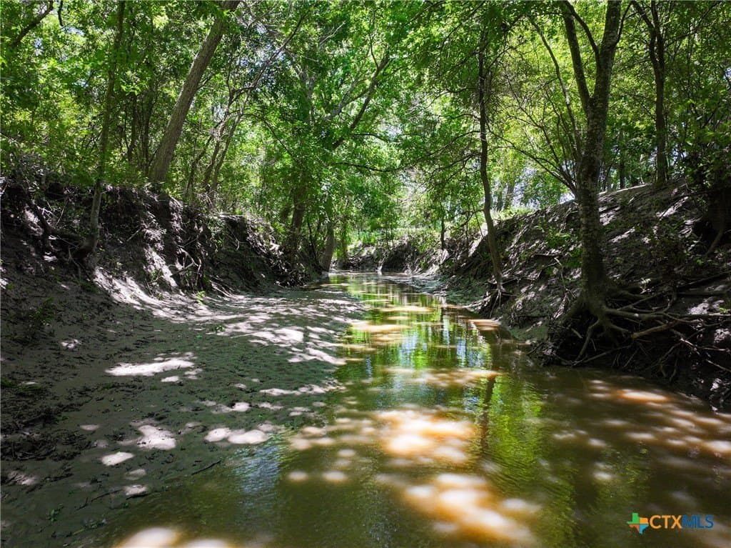 12.63 acres in Caldwell County - photo 14