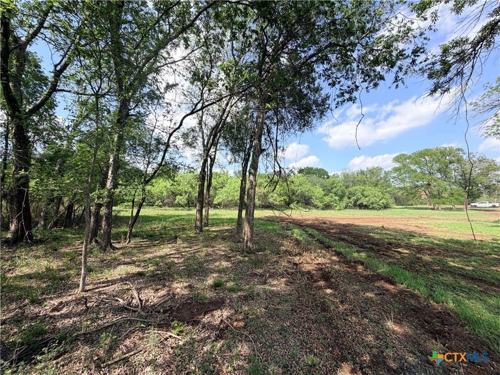 12.63 acres in Caldwell County - photo 20