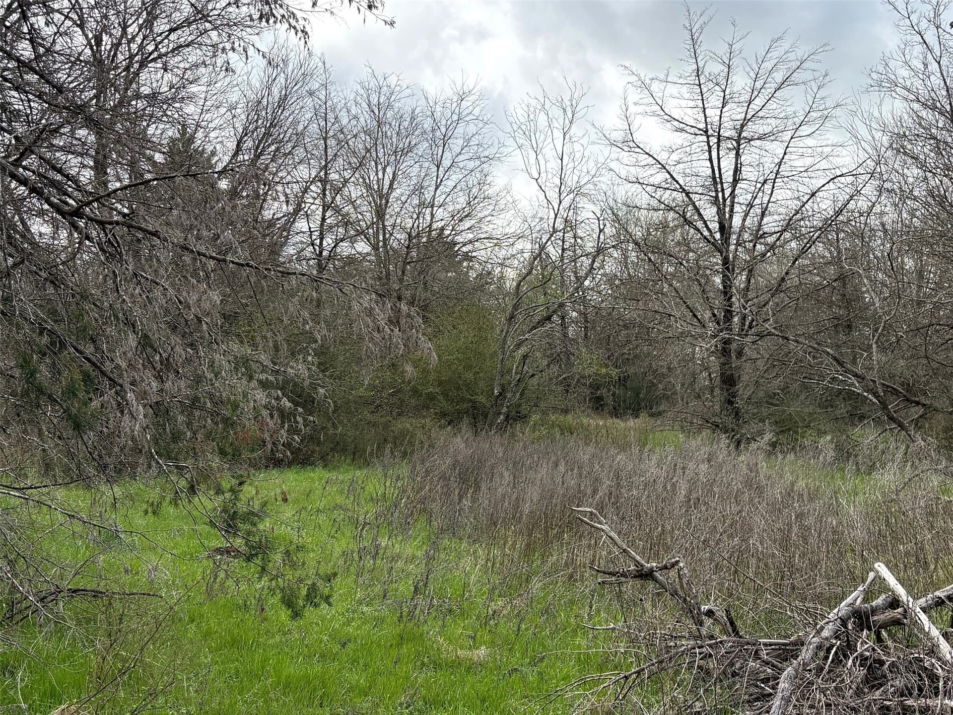 14.25 acres in Limestone County - photo 8