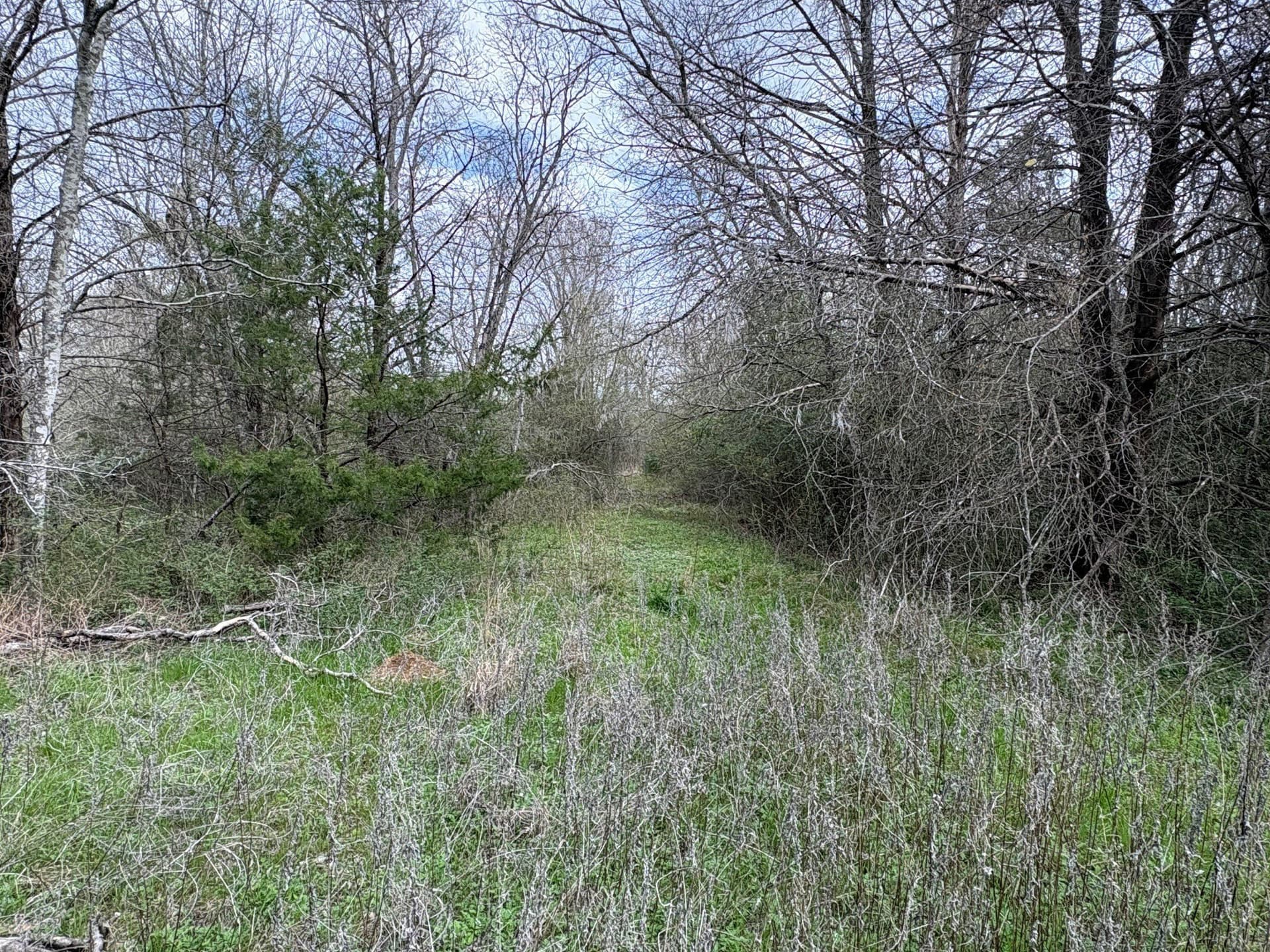 14.25 acres in Limestone County - photo 7