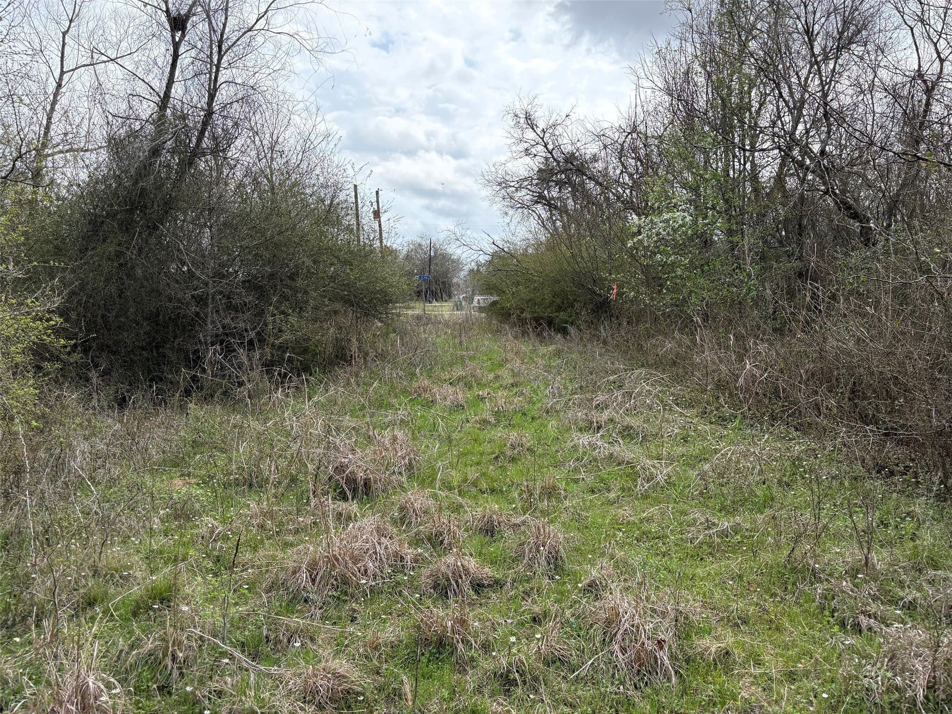 14.25 acres in Limestone County - photo 5