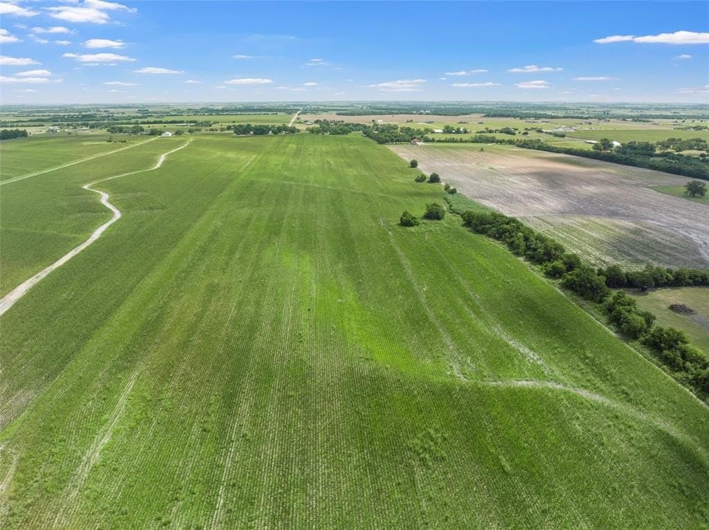 87 acres in Bell County gallery image 3