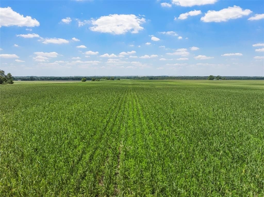 87 acres in Bell County gallery image 4