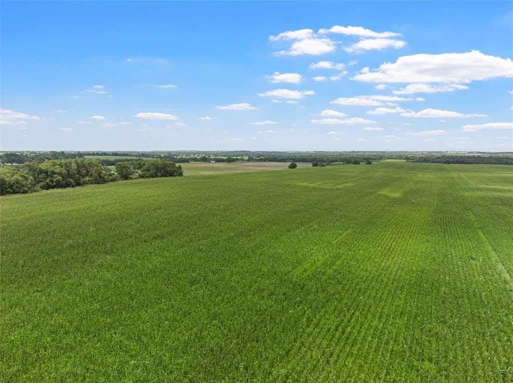 87 acres in Bell County featured view