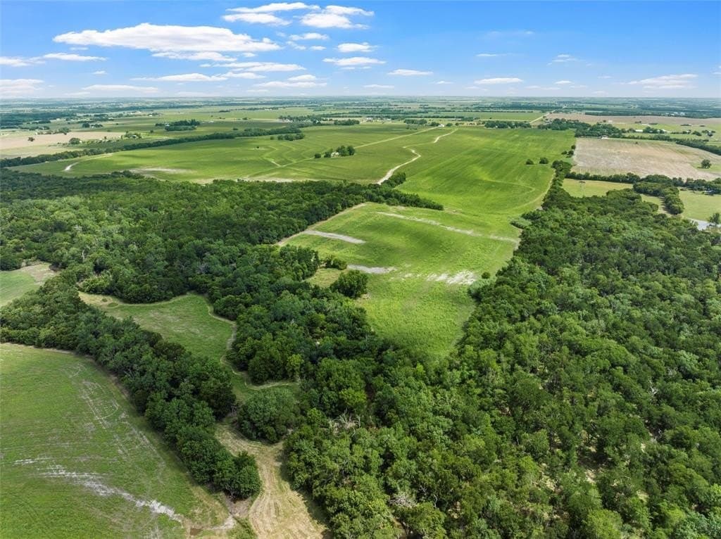 87 acres in Bell County gallery image 2