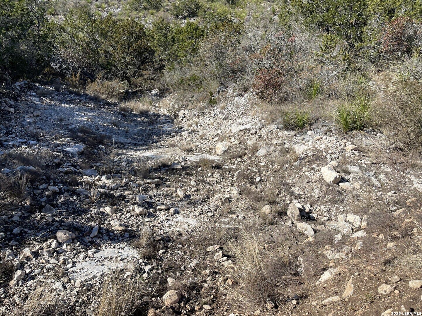 20 acres in Uvalde County - photo 8