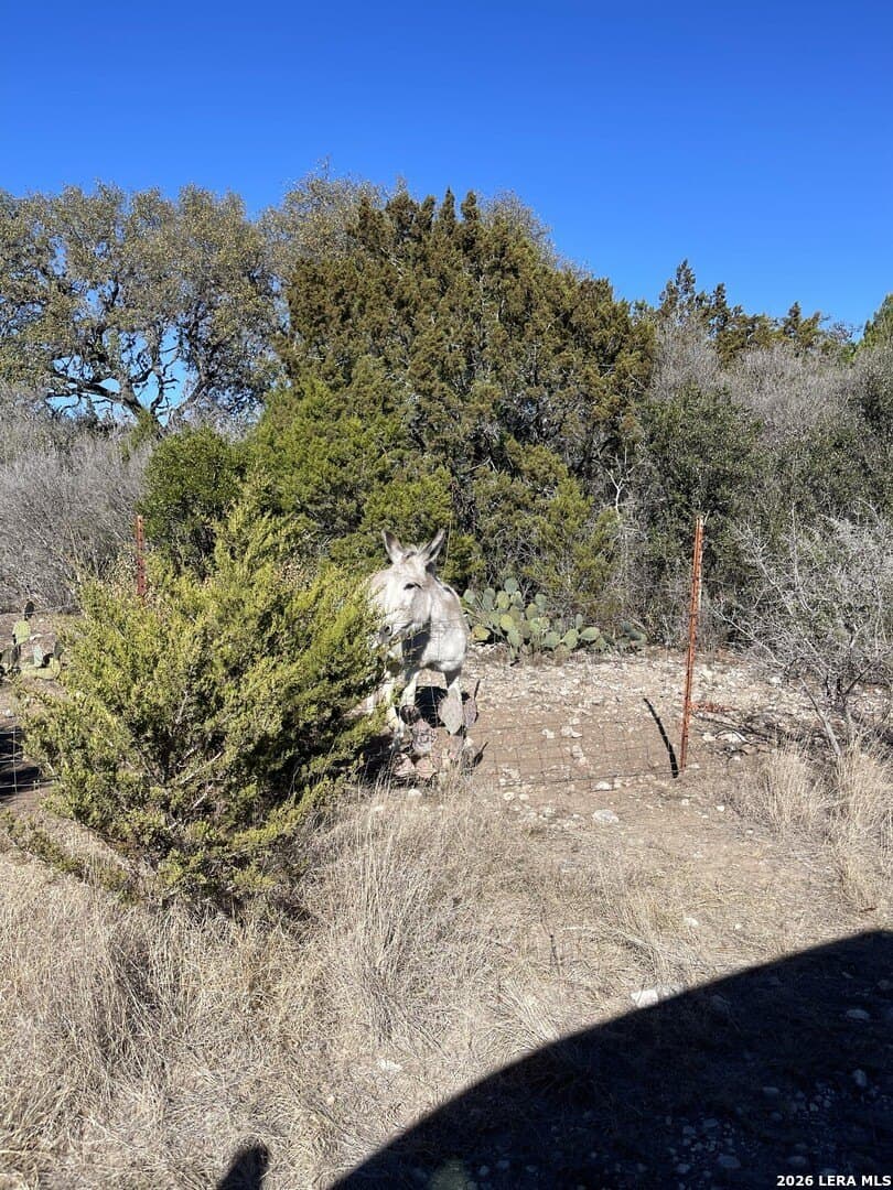 20 acres in Uvalde County - photo 11