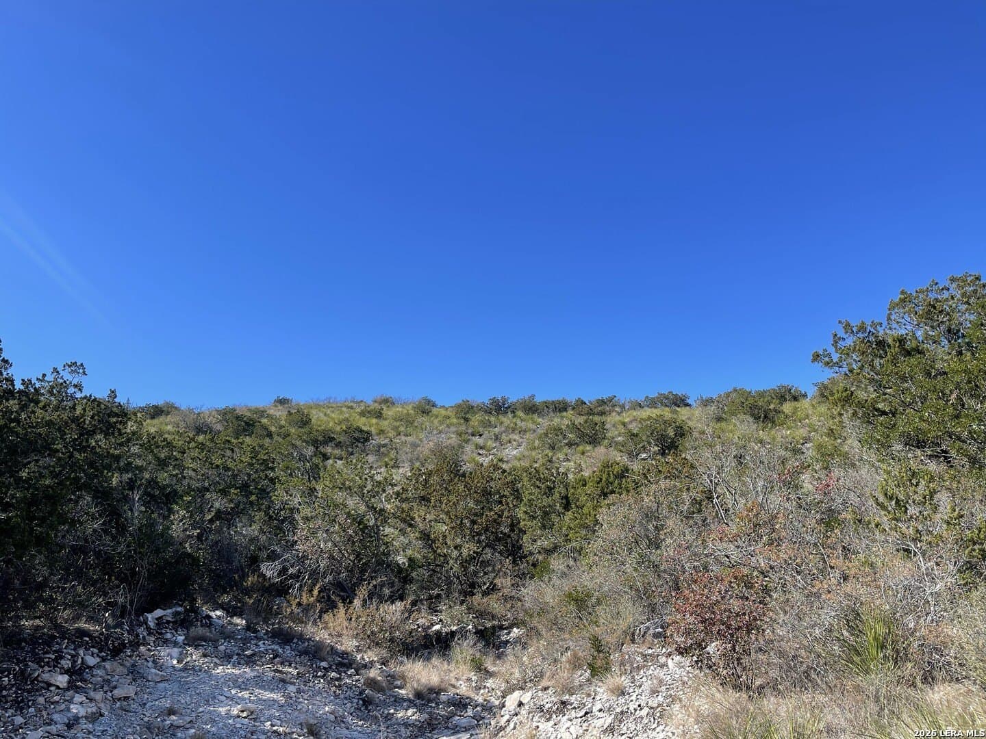 20 acres in Uvalde County - photo 7