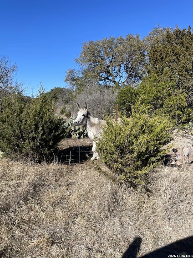 20 acres in Uvalde County - photo 10