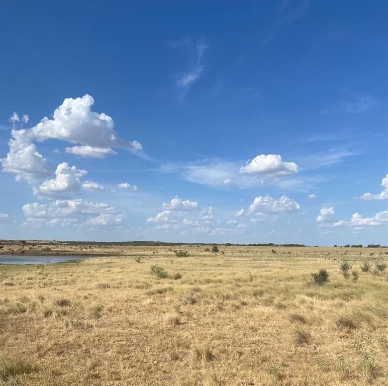 295 acres in Archer County gallery image 3