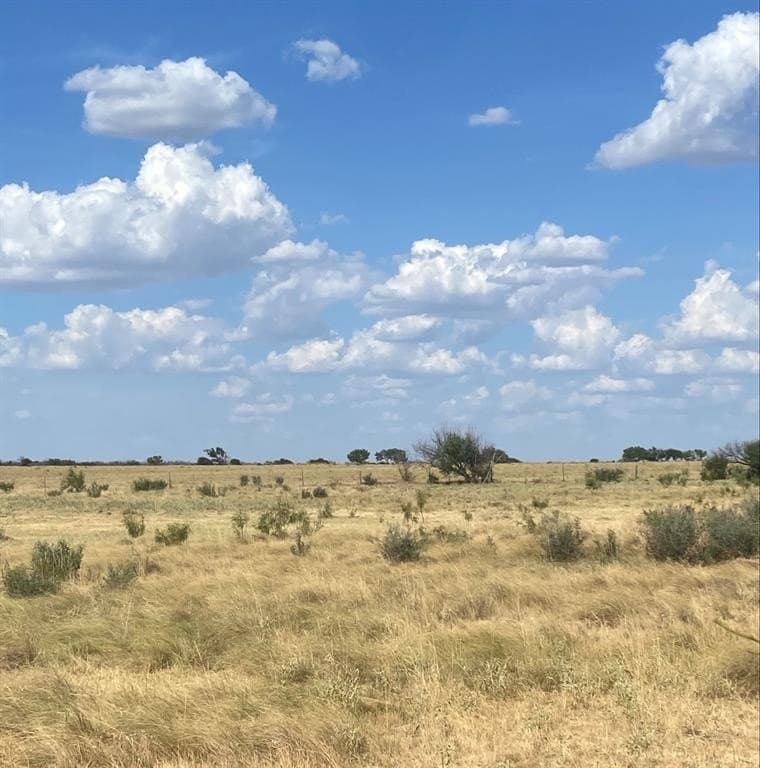 295 acres in Archer County gallery image 2