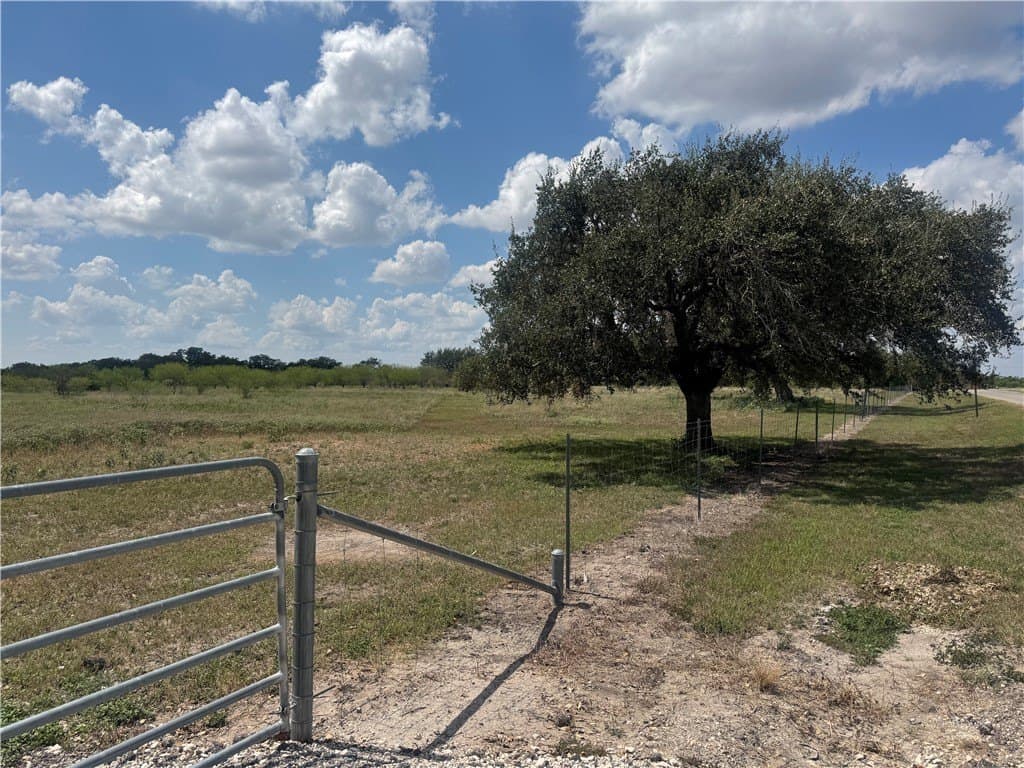 36.73 acres in Bee County gallery image 2