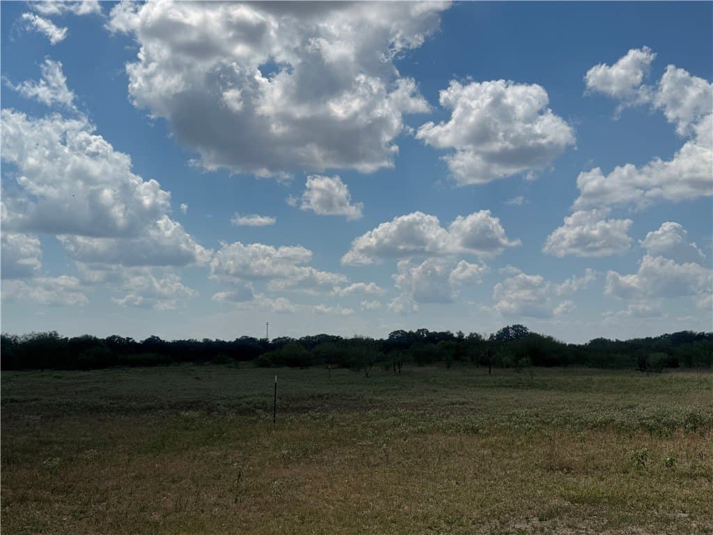 36.73 acres in Bee County gallery image 3