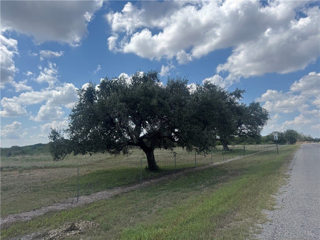 36.73 acres in Bee County featured view