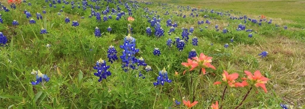 25.38 acres in Hill County gallery image 4