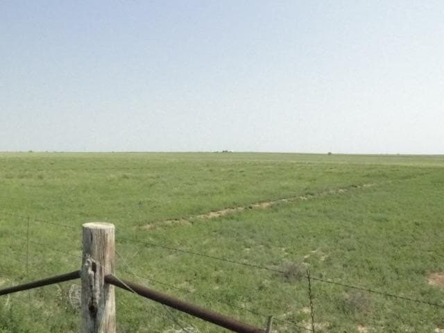 31.2 acres in Lubbock County gallery image 2
