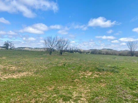 5.01 acres in Gillespie County gallery image 3