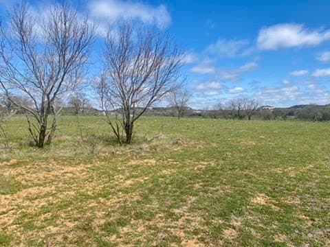 5.01 acres in Gillespie County gallery image 4