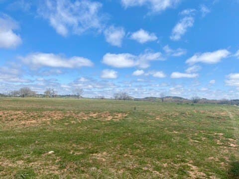 5.01 acres in Gillespie County gallery image 2