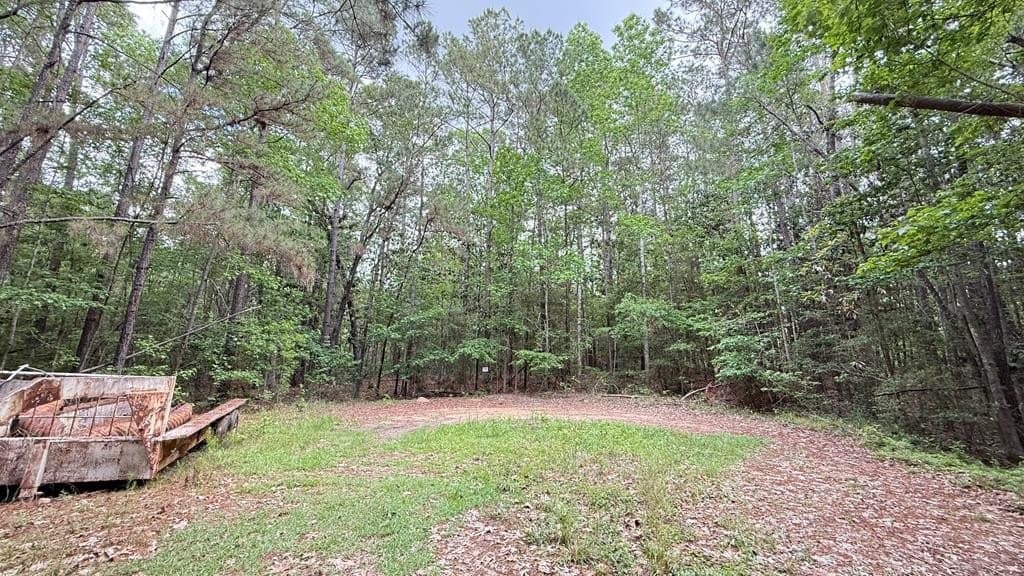 0.59 acres in Texas County gallery image 4