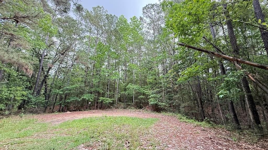 0.59 acres in Texas County gallery image 3