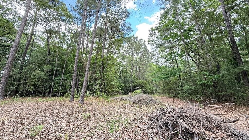 0.59 acres in Texas County featured view