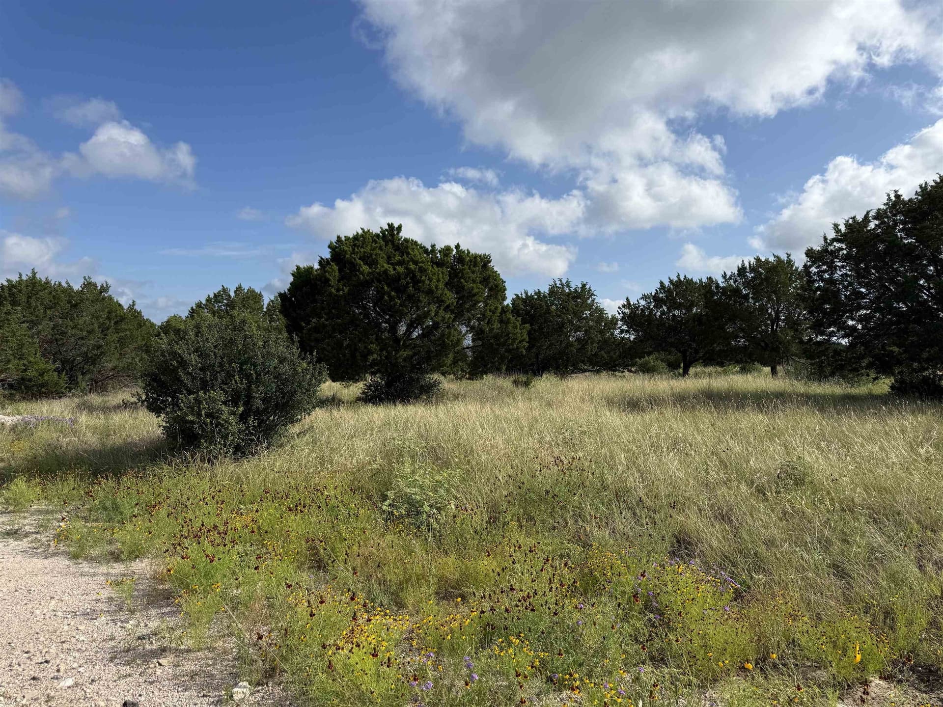0.25 acres in Llano County gallery image 3