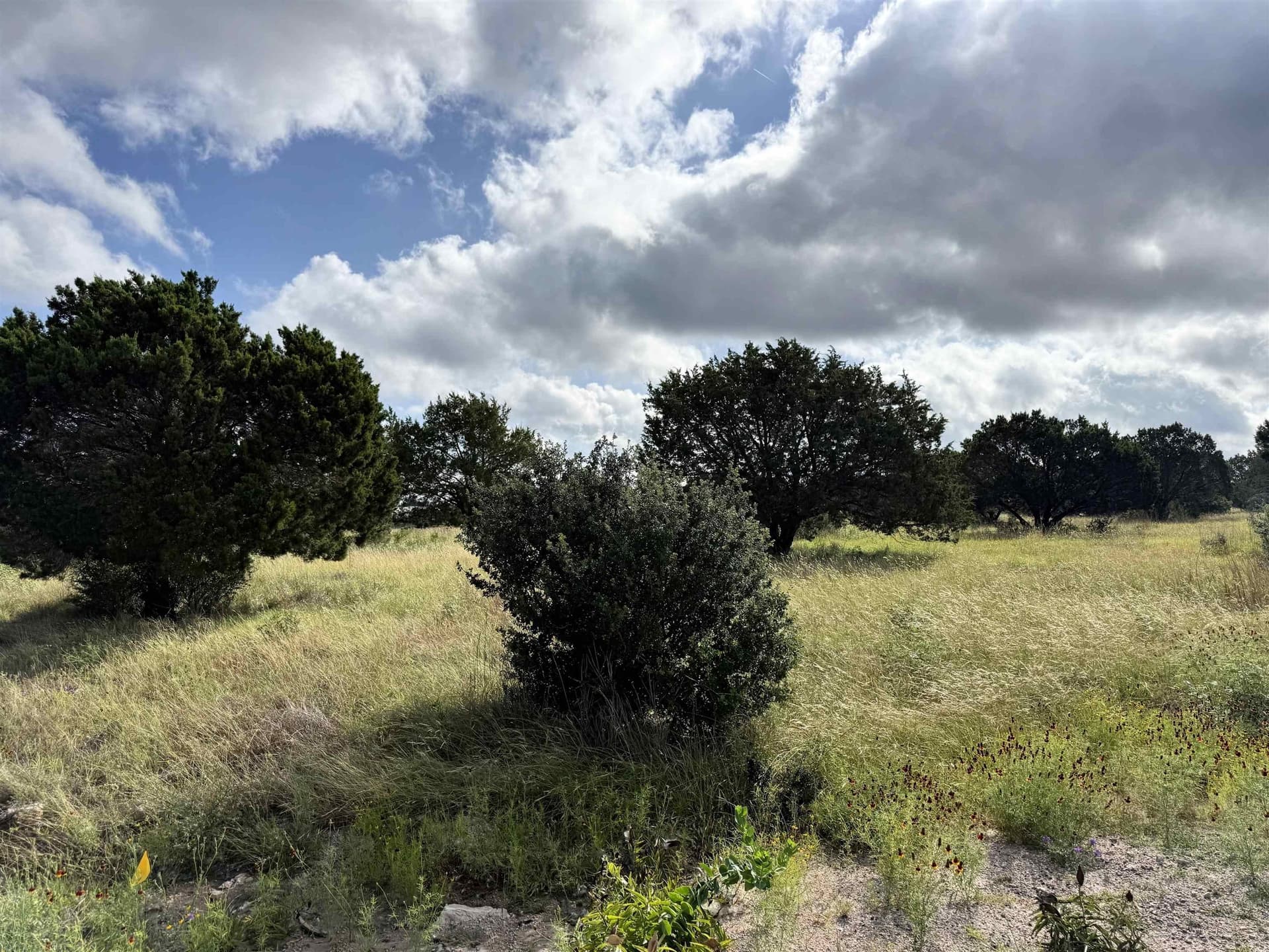 0.25 acres in Llano County gallery image 4
