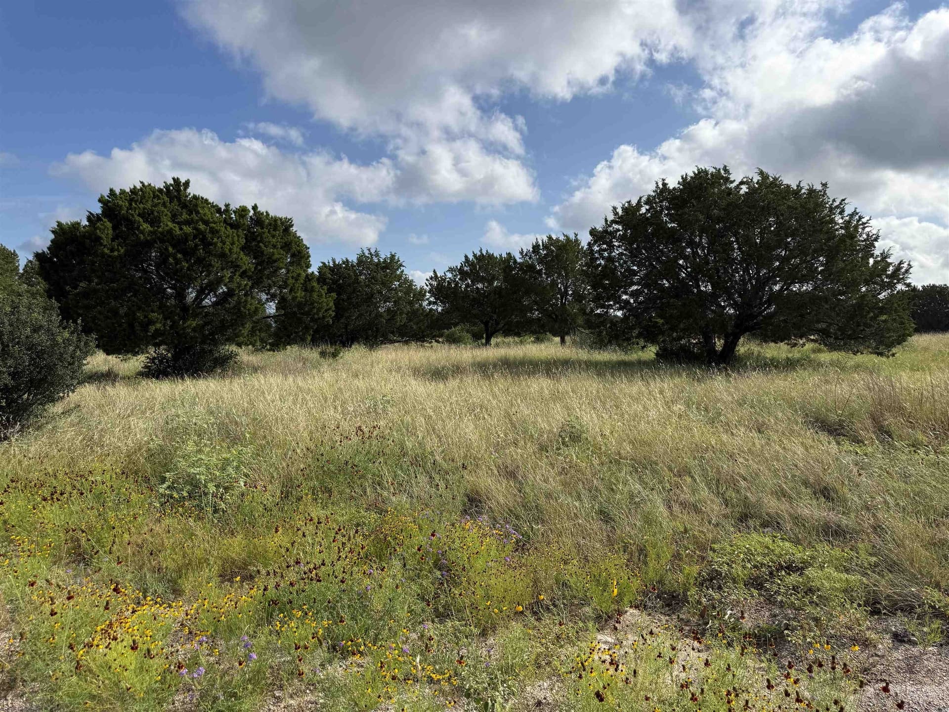 0.25 acres in Llano County gallery image 2