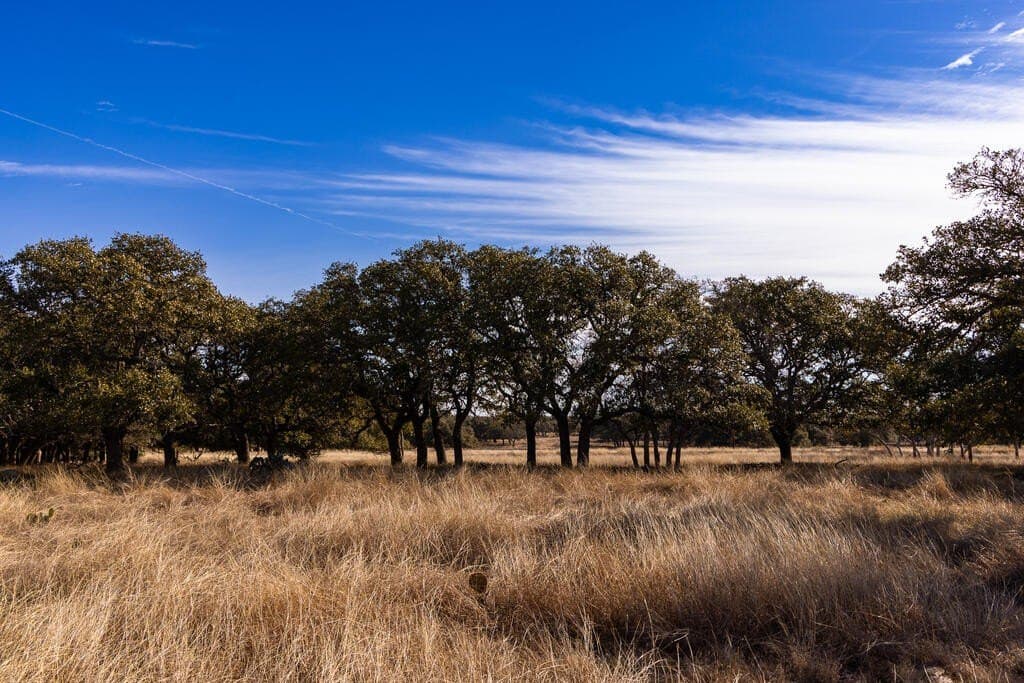 18.4 acres in Kimble County - photo 10