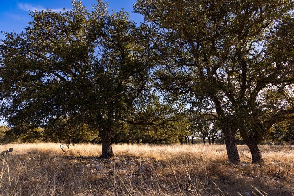 18.4 acres in Kimble County - photo 7