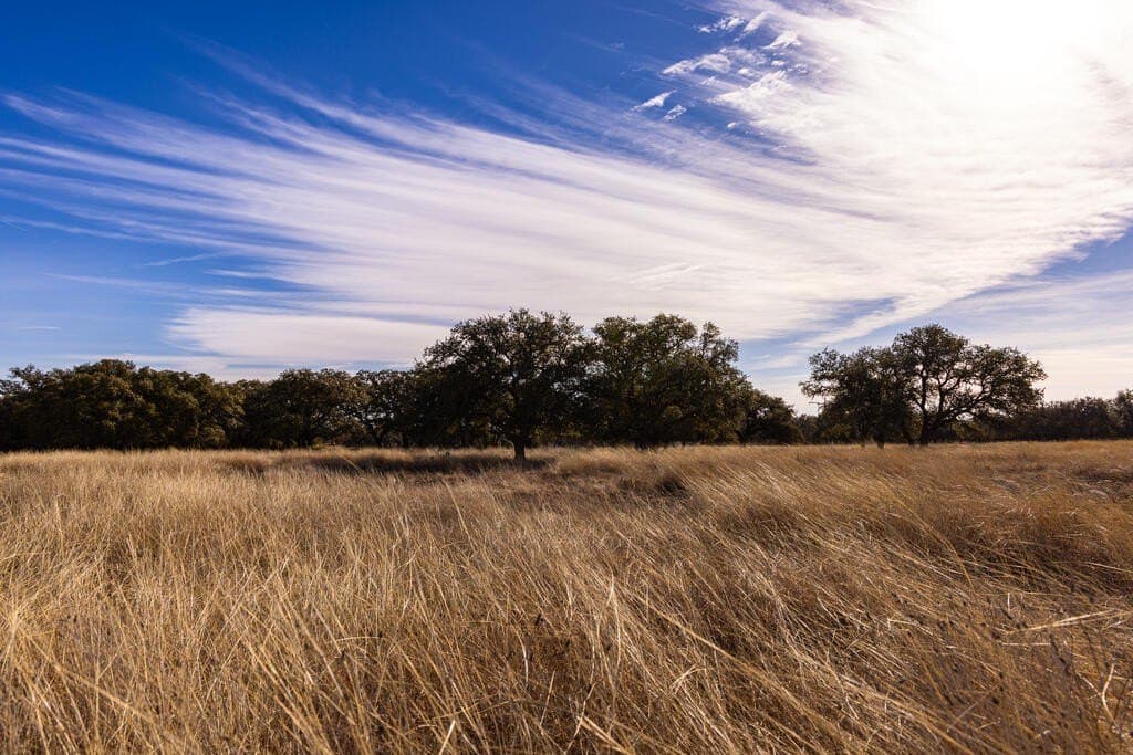 18.4 acres in Kimble County - photo 4