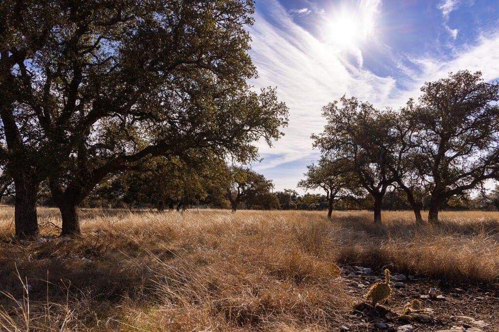 18.4 acres in Kimble County - photo 8