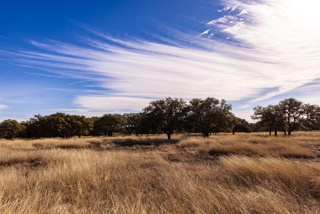 18.4 acres in Kimble County - photo 3