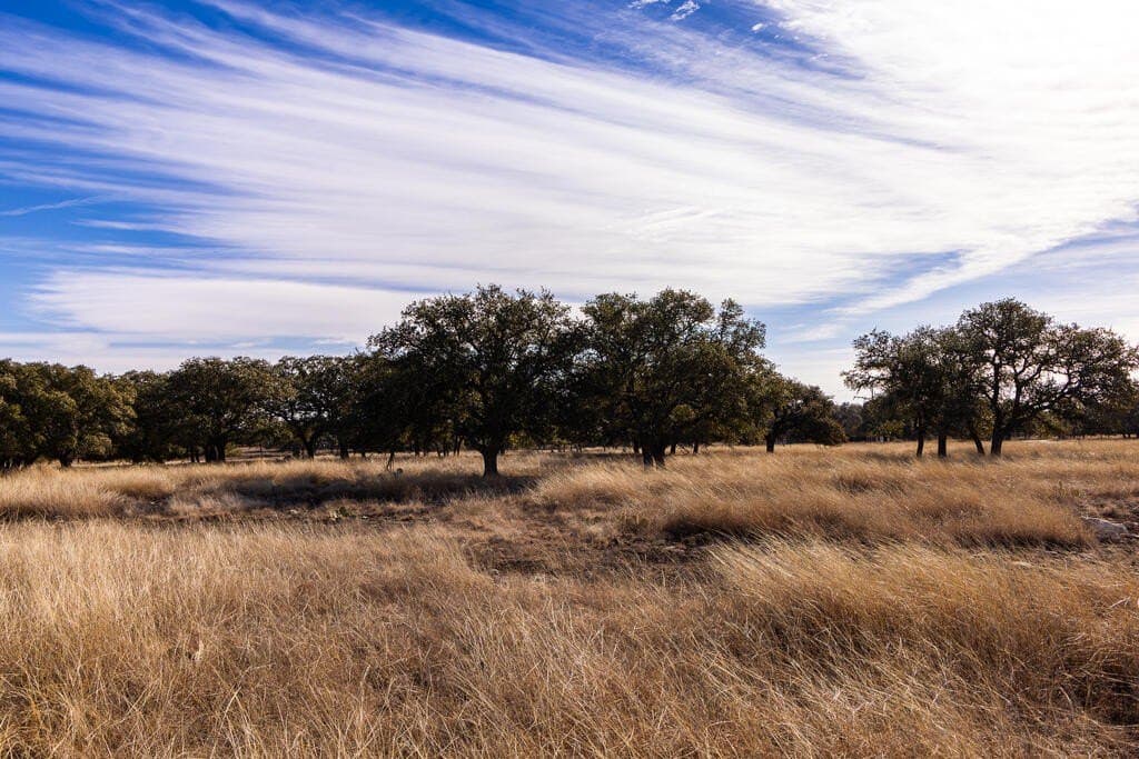 18.4 acres in Kimble County - photo 2