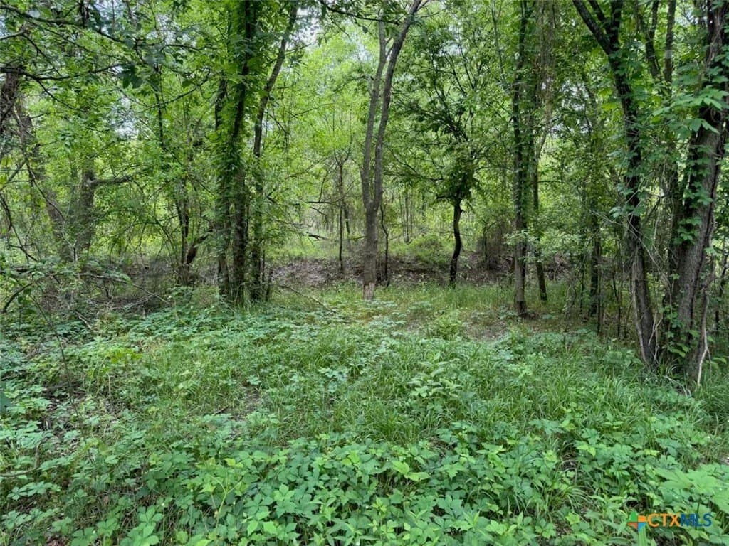 10.01 acres in Falls County - photo 32