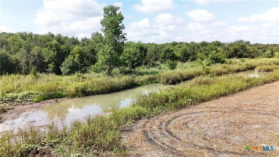 10.01 acres in Falls County - photo 10