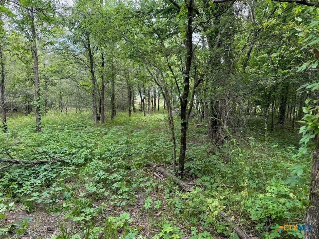 10.01 acres in Falls County - photo 35