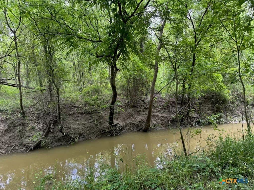 10.01 acres in Falls County - photo 36