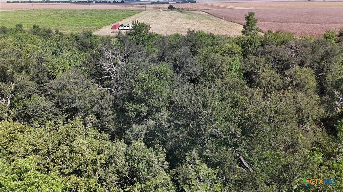 10.01 acres in Falls County - photo 8