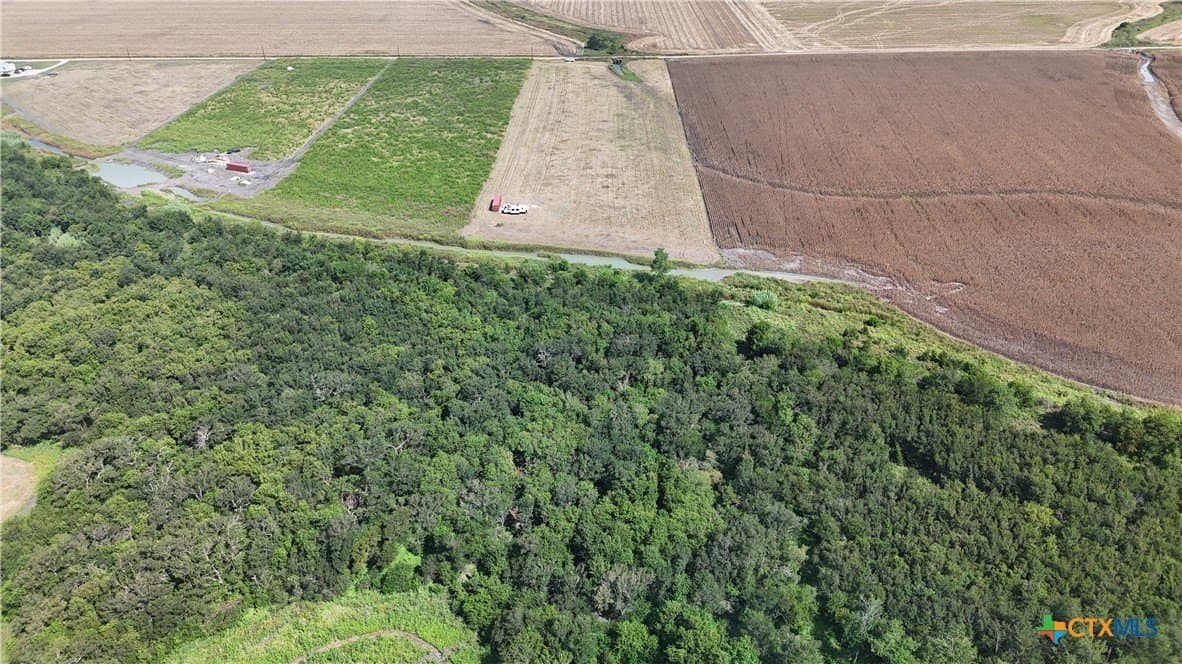 10.01 acres in Falls County - photo 12