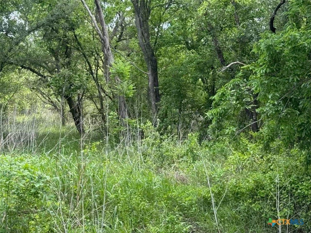 10.01 acres in Falls County - photo 33